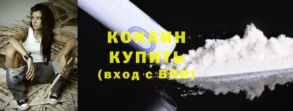 шишки Балабаново