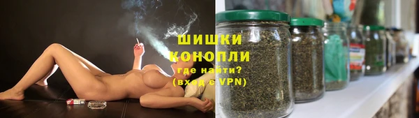 ГАЛЛЮЦИНОГЕННЫЕ ГРИБЫ Балахна
