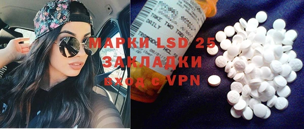 ГАЛЛЮЦИНОГЕННЫЕ ГРИБЫ Балахна