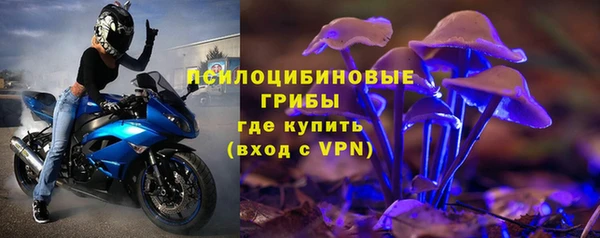 шишки Балабаново