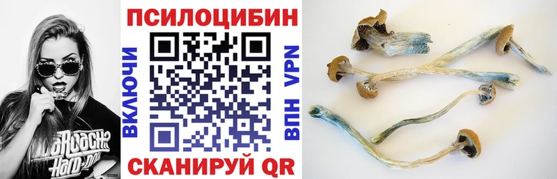 Псилоцибиновые грибы Magic Shrooms  дарк нет как зайти  Красный Кут 